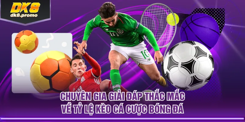 Chuyên gia giải đáp thắc mắc về tỷ lệ kèo cá cược bóng đá