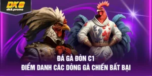 đá gà đòn C1