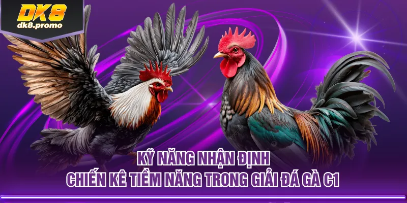 Kỹ năng nhận định chiến kê tiềm năng trong giải đá gà C1