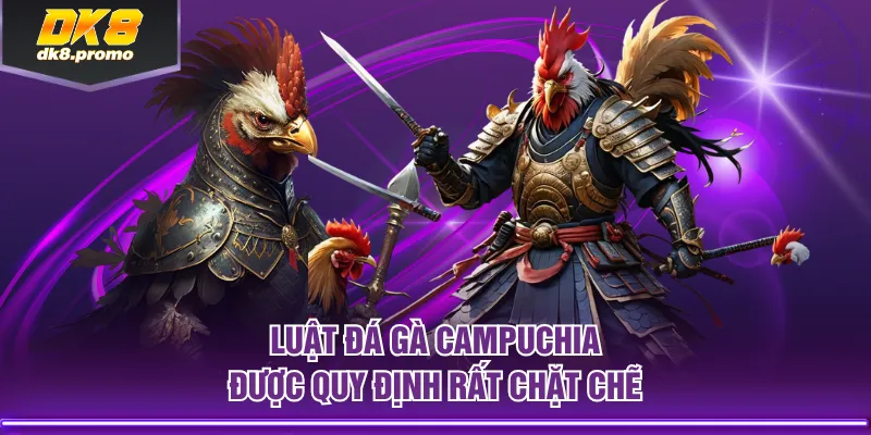 Luật đá gà campuchia được quy định rất chặt chẽ