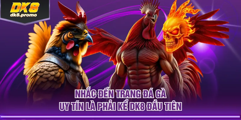Nhắc đến trang đá gà uy tín là phải kể DK8 đầu tiên